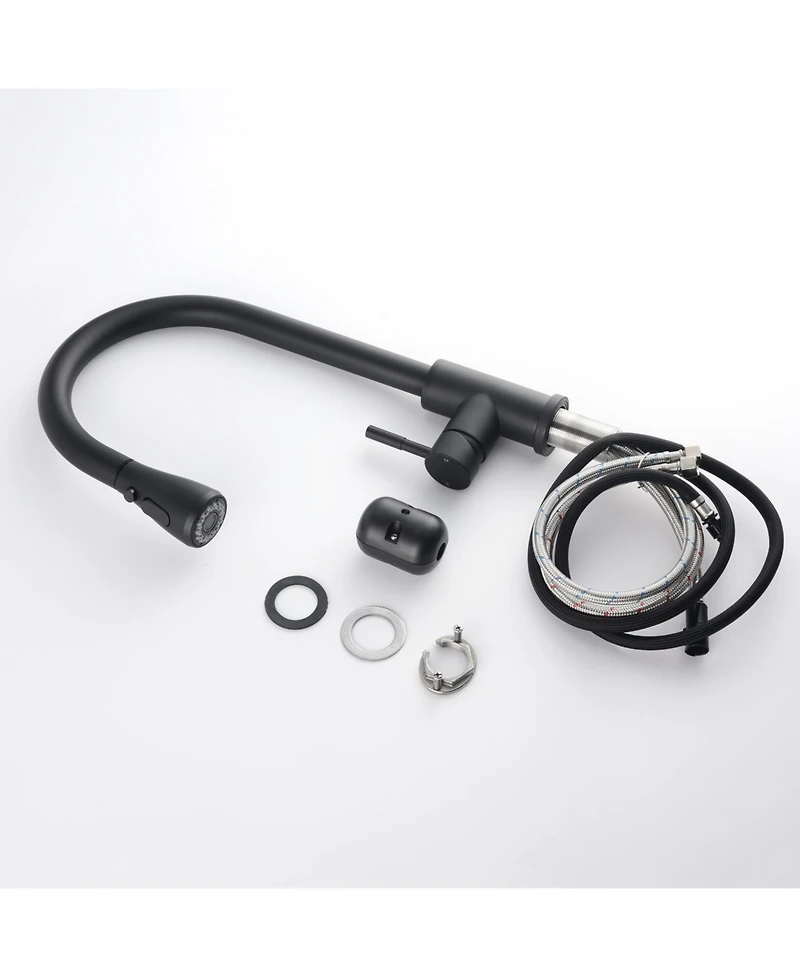 Kitchen Faucet with Pull Out Spraye