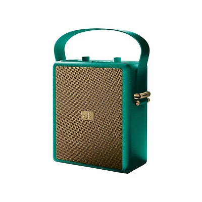 Vera Wireless Speaker with Microphone Input and Eq Controls
