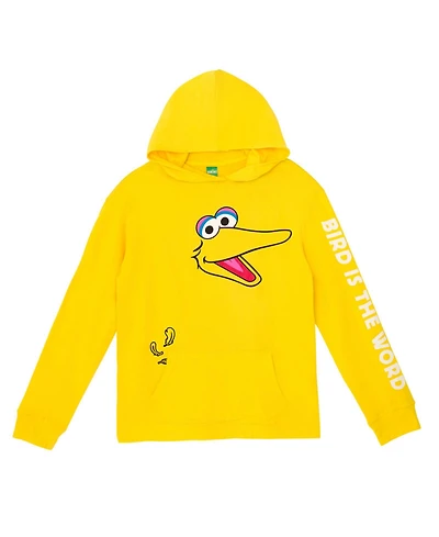 Sesame Street Boys Matching Family Cosplay Pullover Hoodie