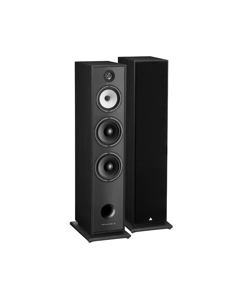 Triangle Borea BR10 Floorstanding Speaker - Best Tower Speakers for Audiophiles (Each