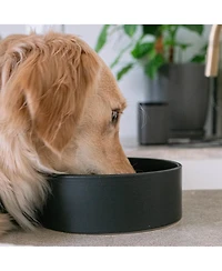 50oz Dog Bowl: Black