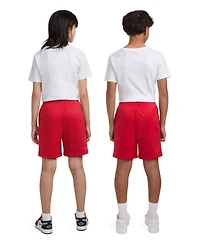 Jordan Big Boys Mesh Logo Shorts