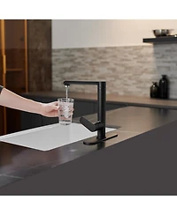Single Handle Standard Kitchen Faucet in Matte Black