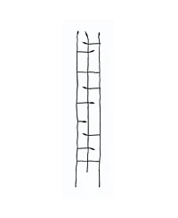 Narrow Metal Garden Trellis with Sprouting Twig Leaf Design for Climbing Plants