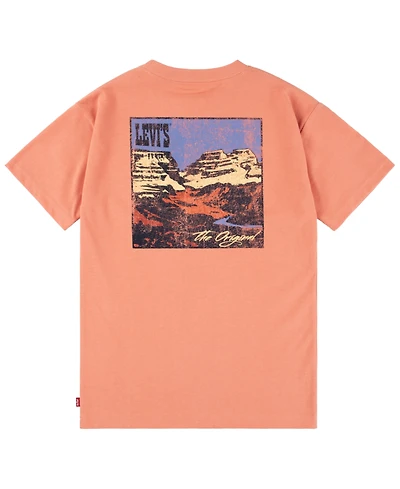 Levi's Big Boys Canyon Landscape T-Shirt