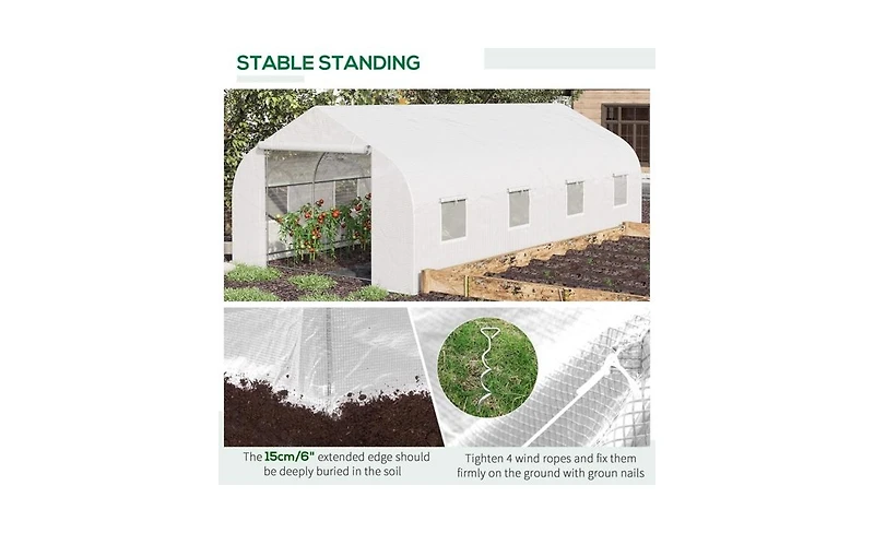 Spacious Greenhouse for Ideal Plant Growth and Year-Round Gardening