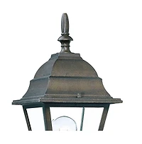 Antique Brown Swing Arm Outdoor Wall Light