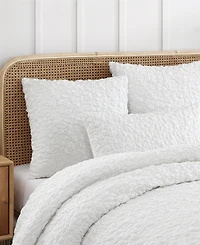Chf Floral Bubble 2-Pc. Sham Set, European
