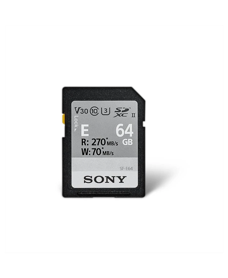 Sony Sony Zv-E10 Mirrorless Camera, Vlogger Accessory Kit, bundled with Sony ACCVC1 Vlogger Accessory Kit, Shooting Grip / Tripod, and Bluetooth wirel