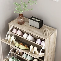 Shoe Cabinet with 2-Shutter Door, Rack
