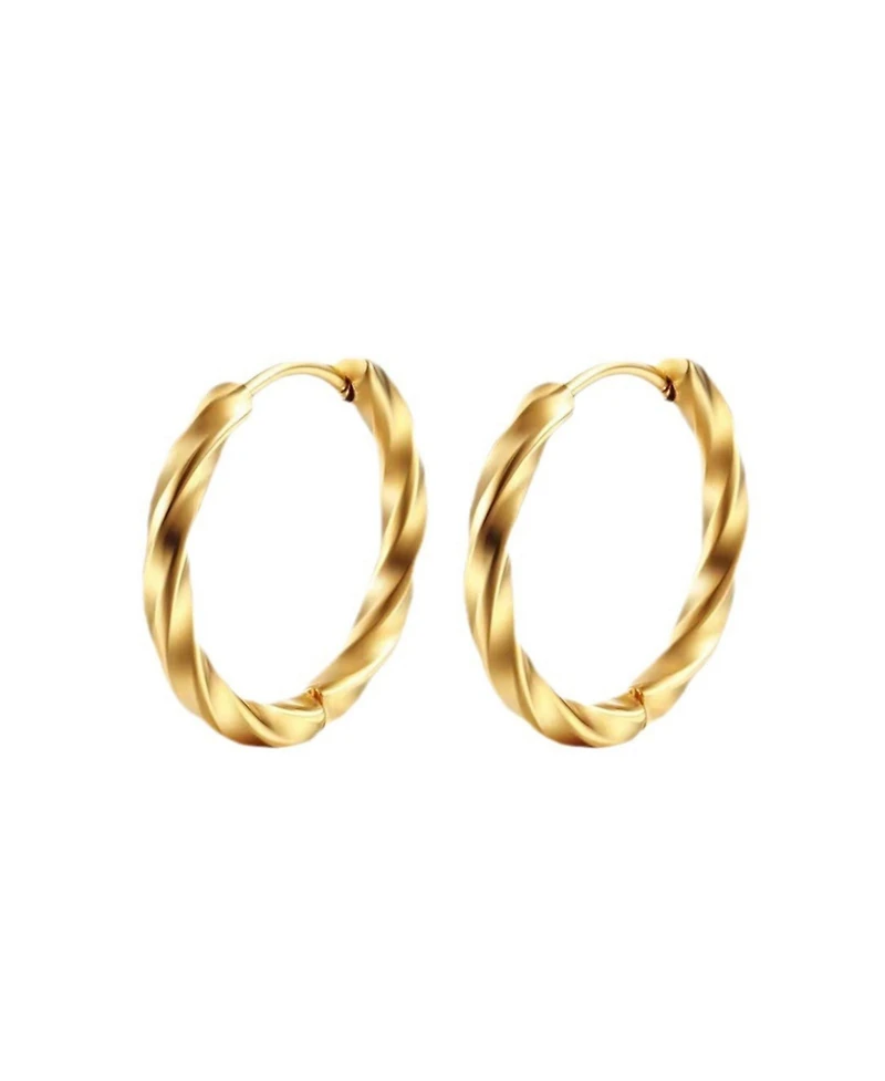 Twisted Hoop Stainless Steel Earrings