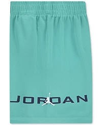 Jordan Little Boys 2-Piece Mj Baseline Mesh Shorts and T-Shirt Set
