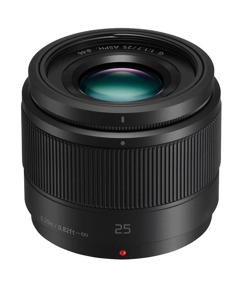 Panasonic Lumix G9II Mirrorless Camera with Lumix G Leica Dg Vario-Elmarit 12-60mm f/2.8-4 Lens and 25mm f/1.7 Lens, Bundle with 64GB Sdxc Memory Card