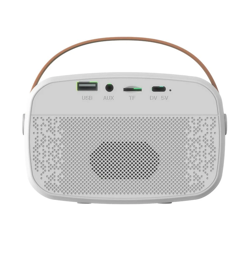Mini Bluetooth Karaoke Portable Speaker with Wireless Mic