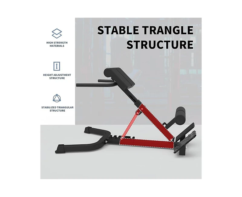 Roman Chair Back Extension, Dual Adjustable Back Extension Bench for Home Gym, Adjustable Back Exercise Machine Weight Capacity 330 Lbs, for Core Work