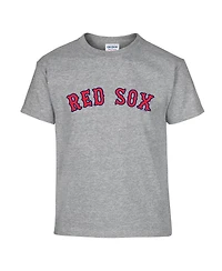 Soft As A Grape Big Boys and Girls 2-Pack Navy/Gray Boston Red Sox T-Shirt Set