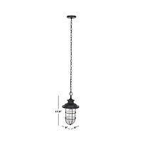 Adelle 9" Outdoor Pendant