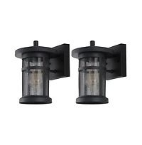 Osprey 7.5" Outdoor Sconce