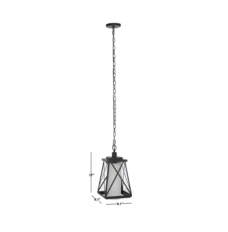 Braith 9.1" Outdoor Pendant
