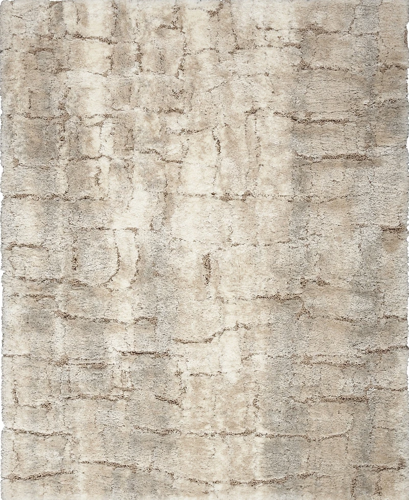 Nourison Home Dreamy Shag DRS09 4'x6' Area Rug