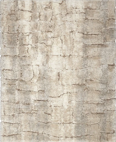 Nourison Home Dreamy Shag DRS09 4'x6' Area Rug