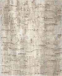Nourison Home Dreamy Shag DRS09 4'x6' Area Rug