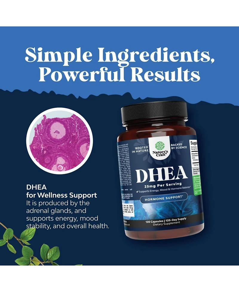Dhea 25mg for Women & Men | Dhea Supplement for Mood Energy & Immune Support, Hormone Balance Supplement | 120ct