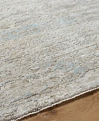 Livabliss Masterpiece Mpc- 10'x13'11" Area Rug