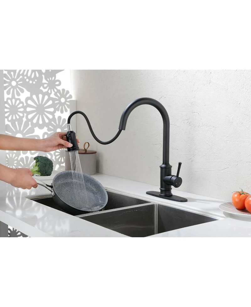 Brushed Nickel Pull Out Kitchen Faucet with Pull Down Sprayer