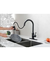 Brushed Nickel Pull Out Kitchen Faucet with Pull Down Sprayer