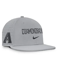 Nike Men's Gray Arizona Diamondbacks True Performance Fitted Hat
