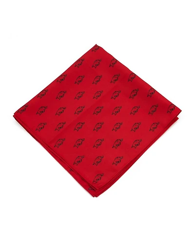 Eagles Wings Arkansas Razorbacks Kerchief Pocket Square