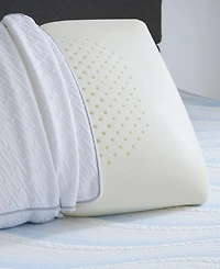 Comfort Tech Tranquility Foam Side Sleeper Pillow, Standard