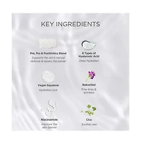 Teluris Dewy Hydration Pre, Pro & Postbiotics Cream
