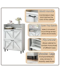 Streamdale Farmhouse Shoe Cabinet with Barn Door and Flip Drawers