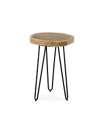 Iron and Solid Wood End Table – Round Accent with Industrial Charm Durability