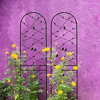 Streamdale 4 Pack Metal Garden Trellis, 86.7", Black