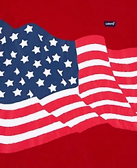 Levi's Big Boys Americana Waving Flag T-Shirt