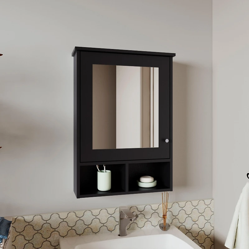 Anamoose Medicine Cabinet with 5 Shelves, 1 Door, and 1 Mirror