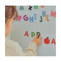 Amber Sports Hattung Magnetic Alphabet Set Extra-Thick, Multicolor Letters with Matching Flashcards