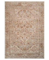 Amer Rugs Albany ALB3 3'6'' x 5'6'' Area Rug