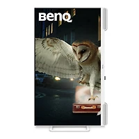 BenQ EW3290U 31.5" 16:9 4K Ultra Hd Ips Led Hdr Monitor, White