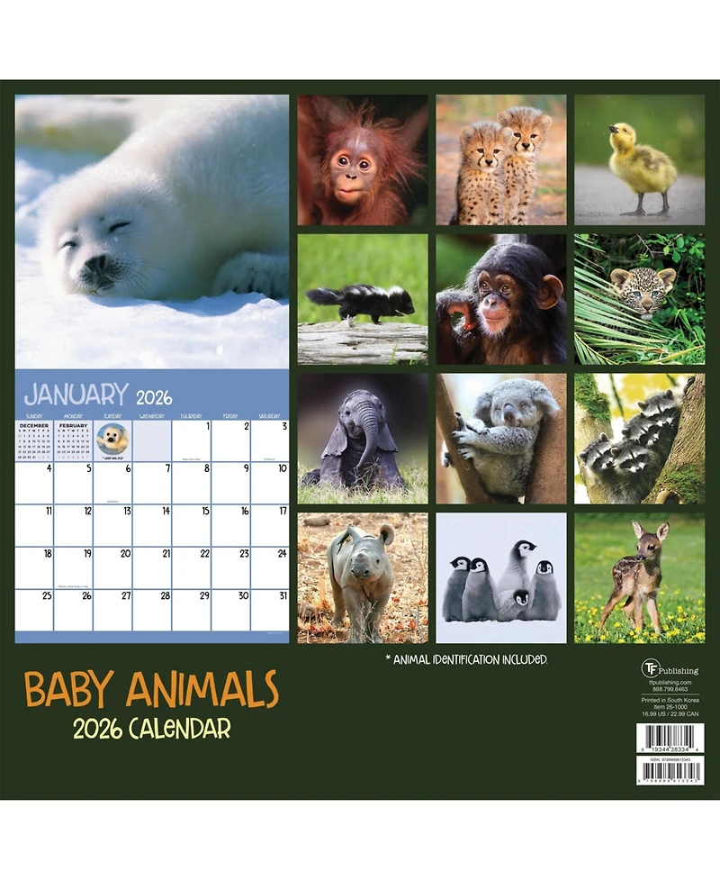 2026 Baby Animals Wall Calendar