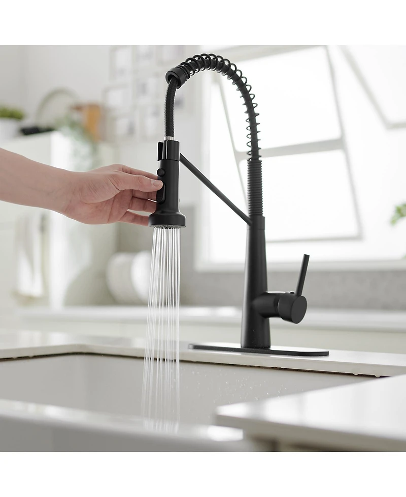 Single-Handle Pull-Down Sprayer 2 Spray High Arc Kitchen Faucet With Deck Plate in