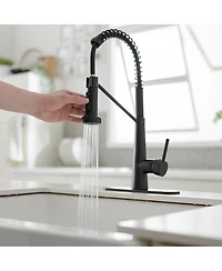 Single-Handle Pull-Down Sprayer 2 Spray High Arc Kitchen Faucet With Deck Plate in
