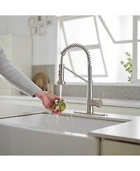 Single-Handle Pull-Down Sprayer 2 Spray High Arc Kitchen Faucet With Deck Plate