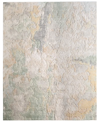 Feizy Jaxson 39SAF 4'x6' Area Rug