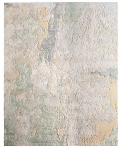 Feizy Jaxson 39saf Rug Collection
