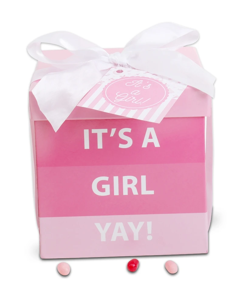Alder Creek Gift Baskets It's a Girl Baby Gift Box, 4 Pieces