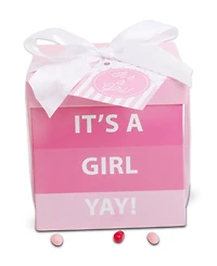 Alder Creek Gift Baskets It's a Girl Baby Gift Box, 4 Pieces